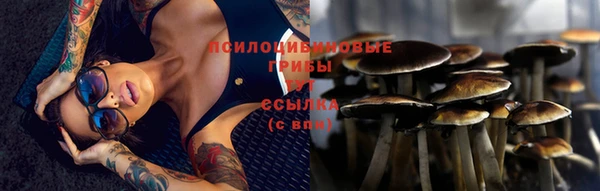 ГАЛЛЮЦИНОГЕННЫЕ ГРИБЫ Алзамай