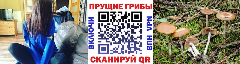 Псилоцибиновые грибы ЛСД  Яровое 